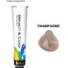 Bleach & Color Crème Champagne 80gr