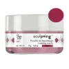 Poudre De Façonnage Sculpting+ Rosy Cherry Peggy Sage 10g