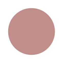 Godet Fard à Joues Beige Rosé Peggy Sage 3g